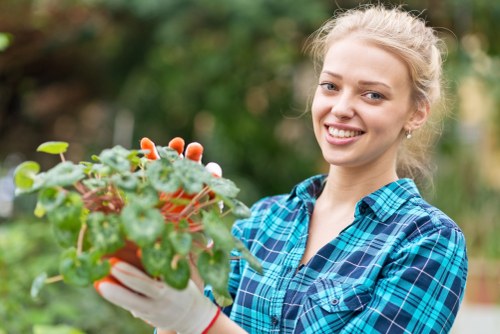 Illustration representing accessible Gardeners Elmstead content and inclusive design