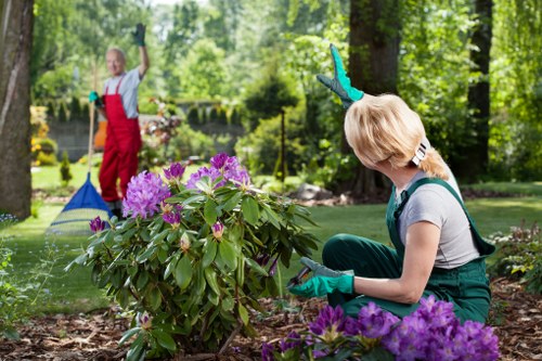 Gardeners Elmstead team working safely in a residential garden