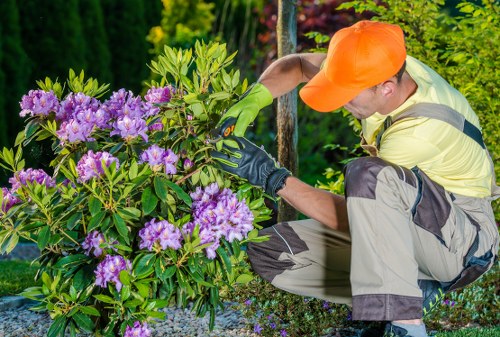 Complaint procedure for gardening services with a fair outcome