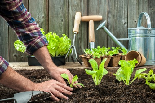 Planning a landscaping project in Elmstead with layout and material selection