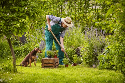 Gardeners Elmstead pricing for a tidy front garden