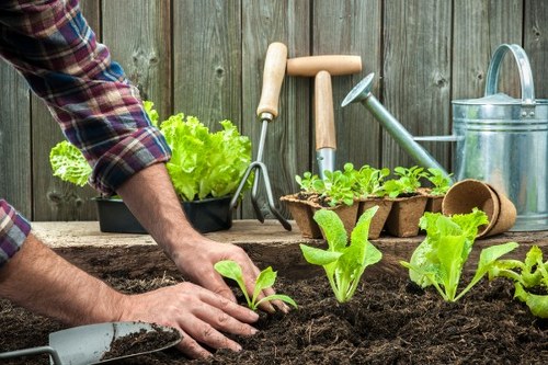 Garden work carried out with care and planning
