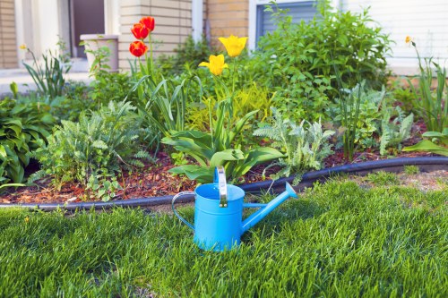 Local garden care in Elmstead with trimmed hedges and borders