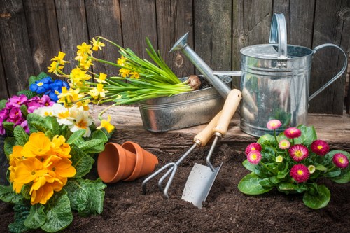 Tidy Elmstead backyard showing regular garden maintenance results