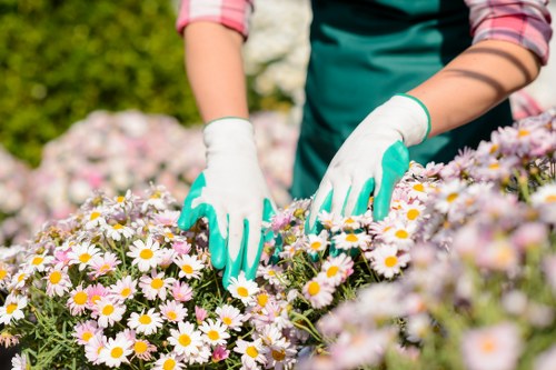 Family-friendly landscape gardening features in Elmstead