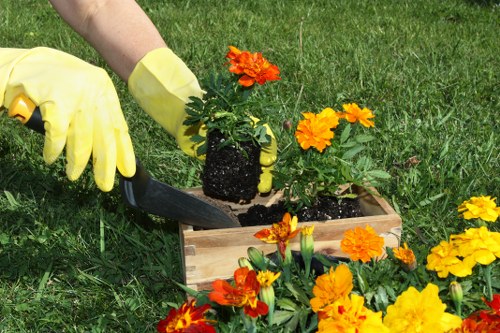 Close view of even grass cutting on an Elmstead lawn