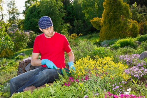 Professional lawn mowing finish in Elmstead with clean borders