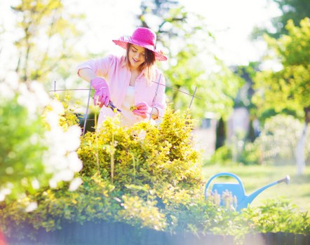 Professional garden clearance work in an Elmstead property