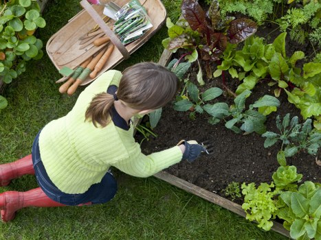 Elmstead gardeners trimming hedges and shaping borders