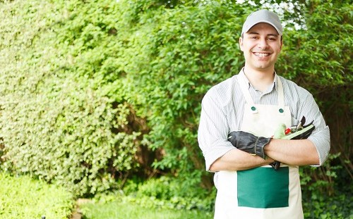 Seasonal lawn maintenance in Elmstead with fresh turf and garden care