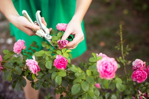Safe and insured Gardeners Elmstead service in a garden setting