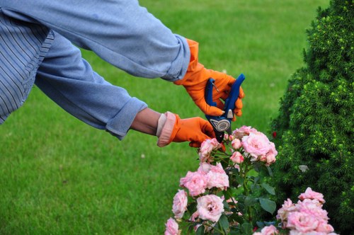 Sustainable landscape gardening in Elmstead with trees and borders
