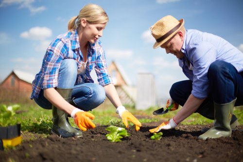 Elmstead landscaping and garden care for healthy outdoor spaces