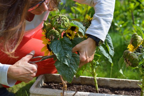 Gardening team confirming a service booking