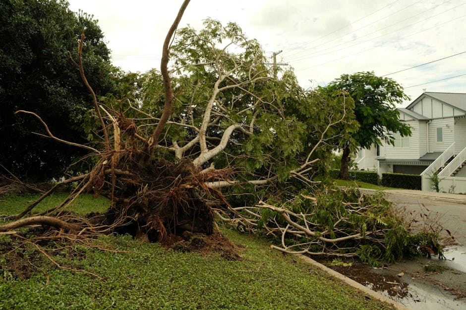 A garden scene following storm damage showing a chaotic mix of broken tree branches, uprooted logs, scattered debris, and overturned garden tools. The soil appears disturbed and muddy, with some brick